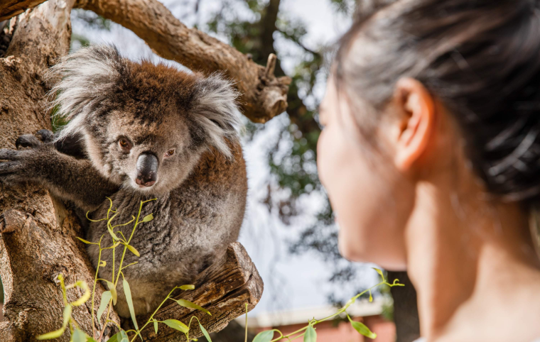 202512151535-6370604854.png image.png