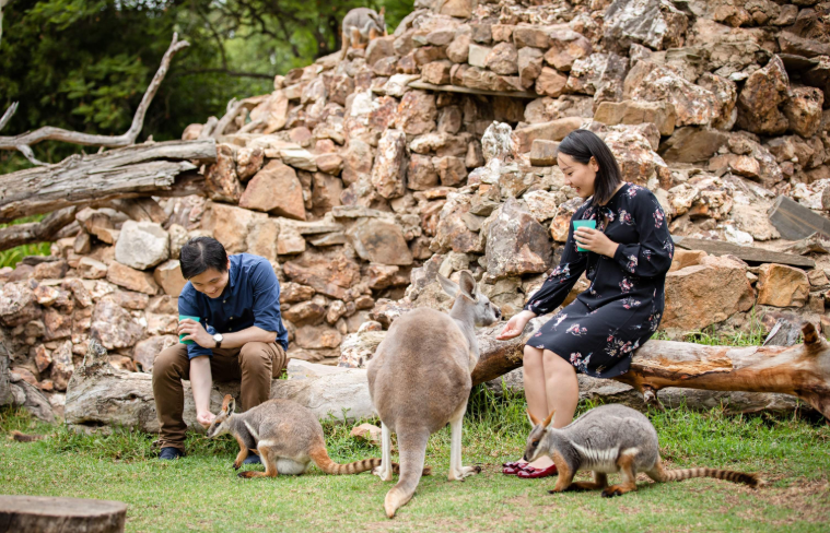 202512151535-8408038973.png image.png