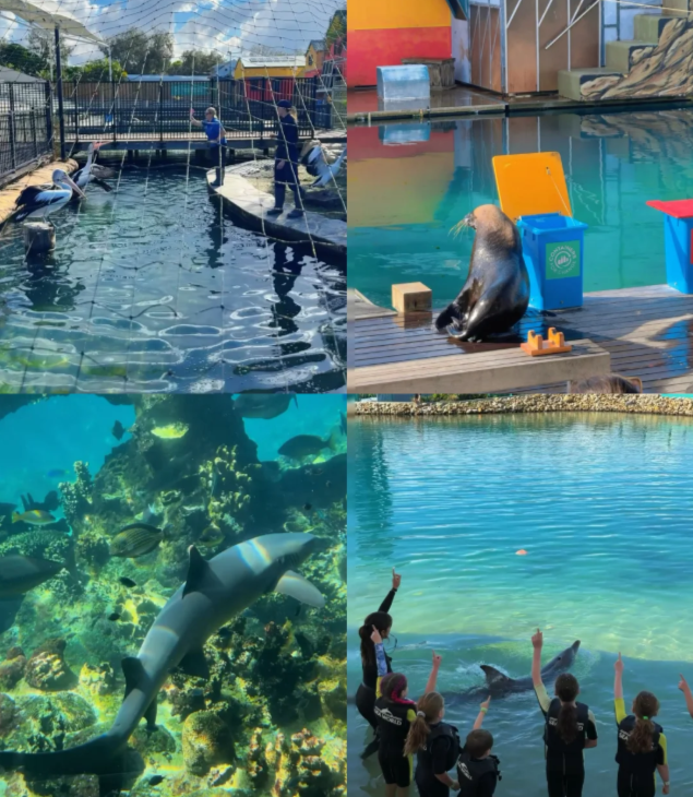 202512151615-4635538147.png image.png