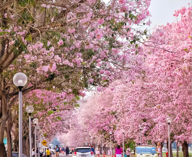 202512151624-1903880709.png image.png