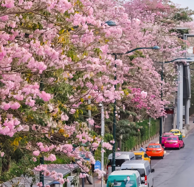 202512151625-4636660950.png image.png