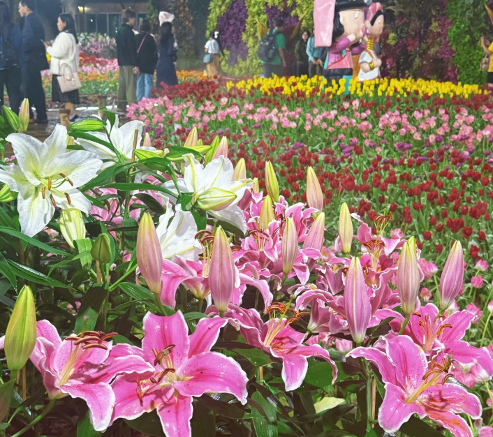 202512151647-1790429265.png image.png