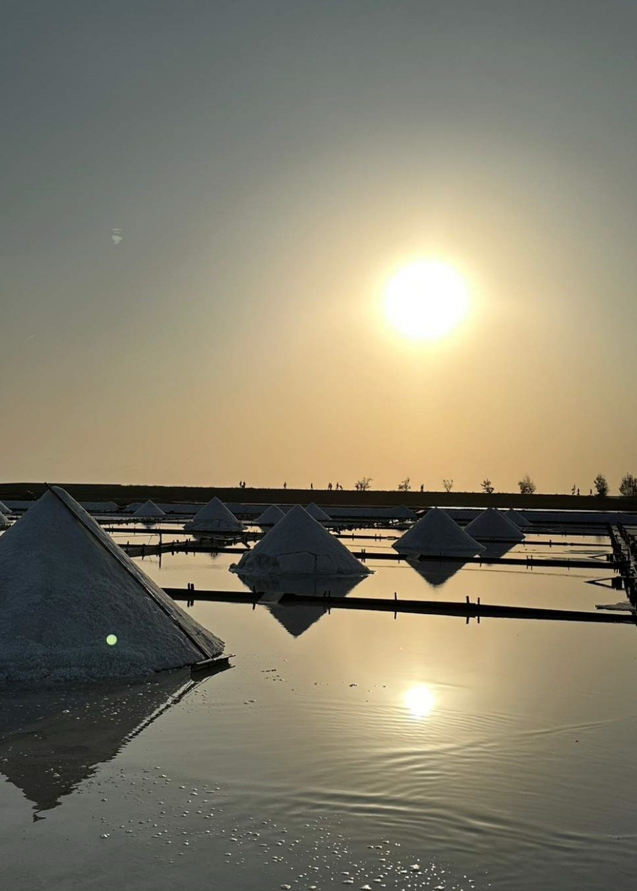 202512151701-1125674346.jpg undefined (2).jpg