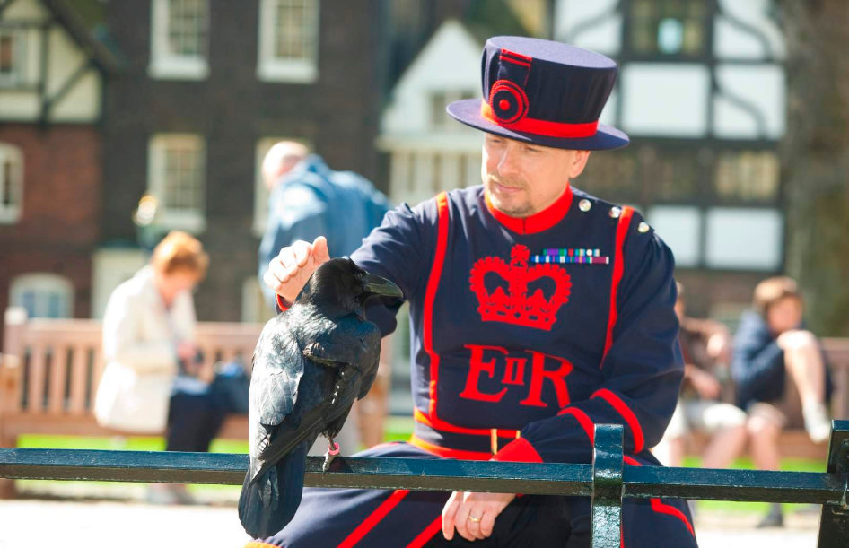 202512160932-2826789299.png image.png