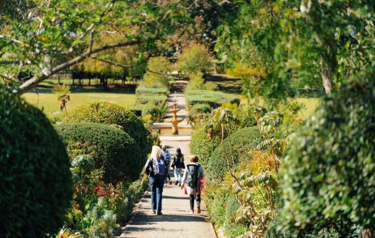 202512160934-5588723402.png image.png