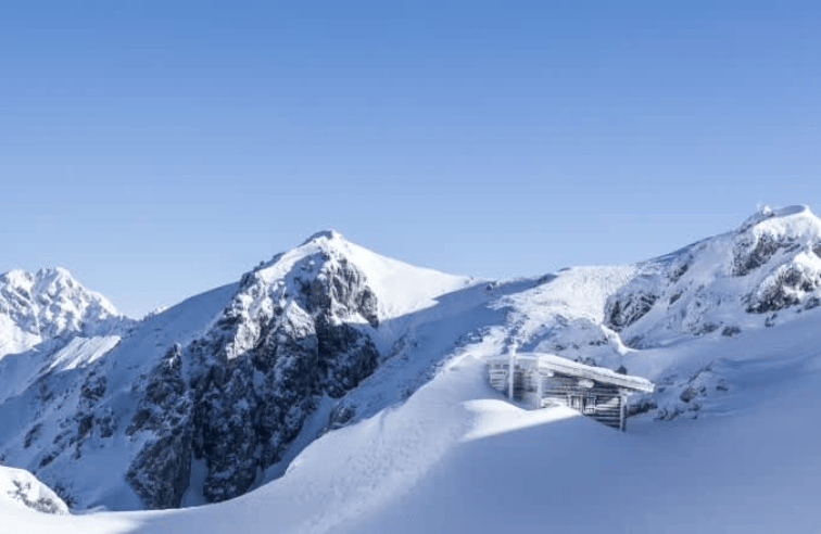 202512161134-6442999466.png image.png