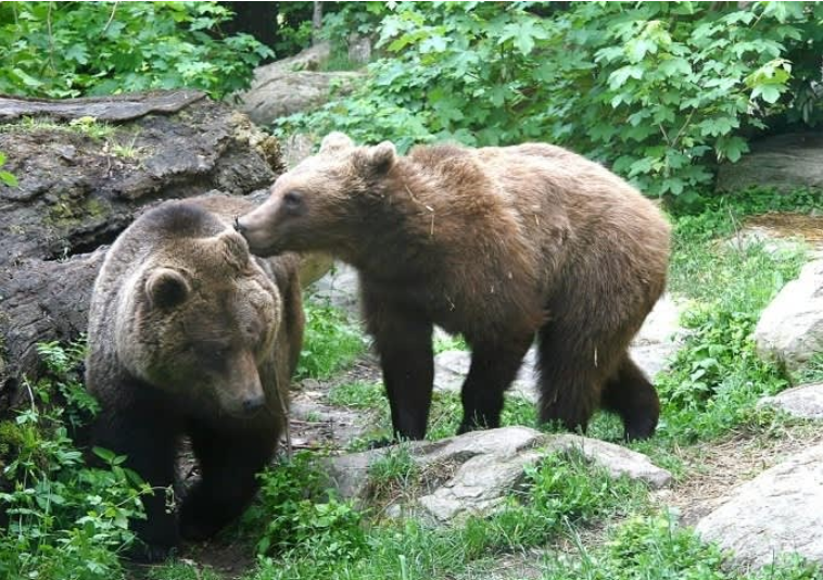 202512161316-5220848658.png image.png