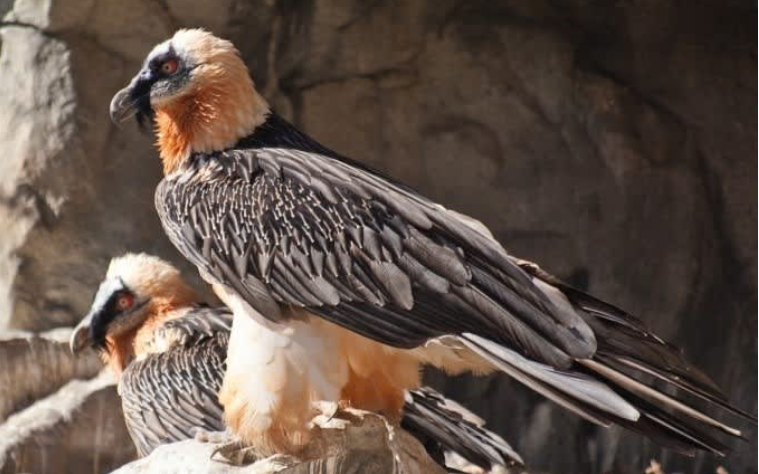 202512161316-6254808659.png 屏幕截图 2025-12-16 131539.png