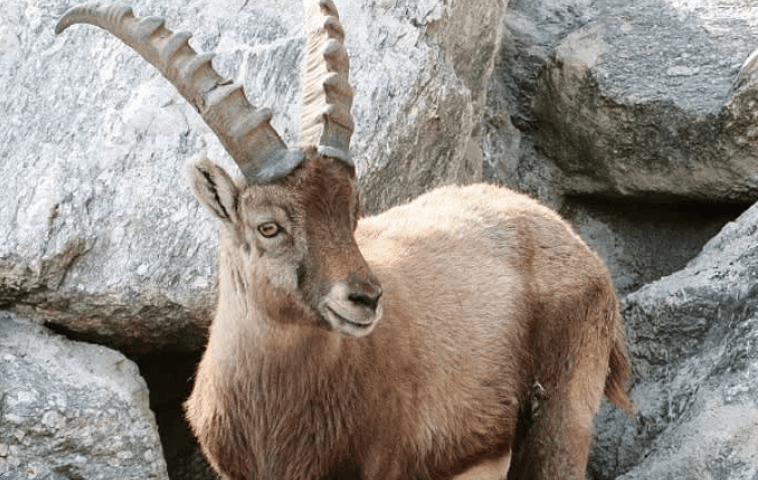 202512161316-9364683261.png 屏幕截图 2025-12-16 131512.png