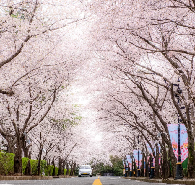 202512161357-6659147760.png image.png