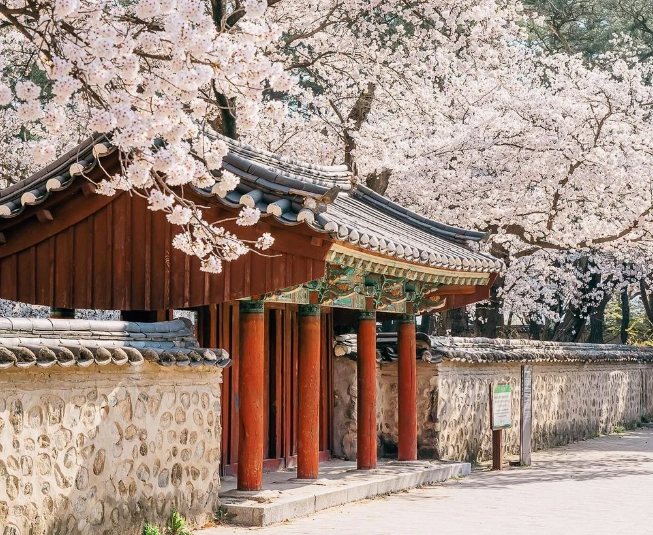 202512161358-8237912261.png image.png