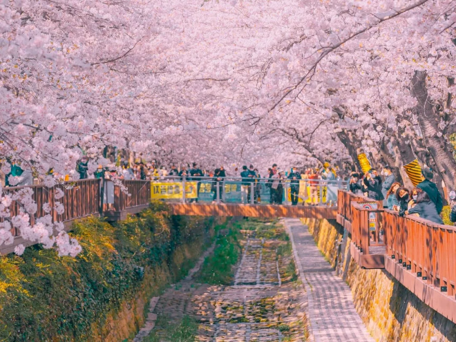 202512161358-9056872643.png image.png