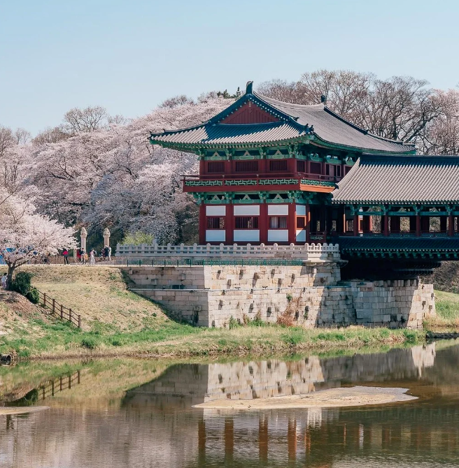 202512161359-1018627102.png image.png