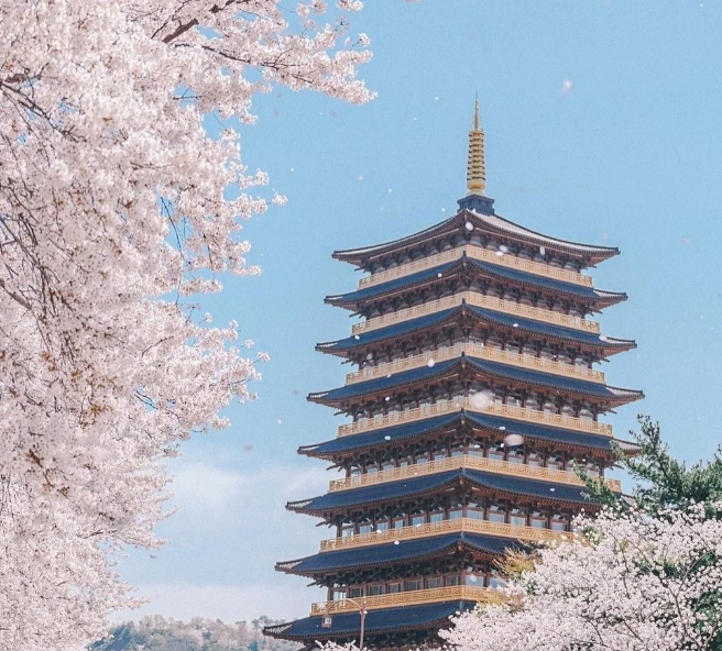 202512161359-9036842238.png image.png