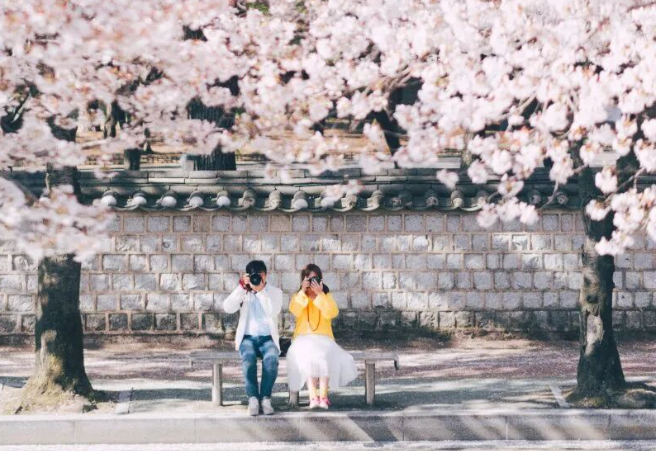 202512161405-1294258531.png image.png