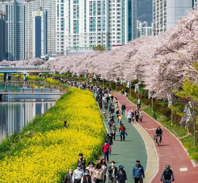 202512161405-3517899871.png image.png