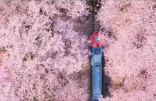 202512161405-6687119659.png image.png