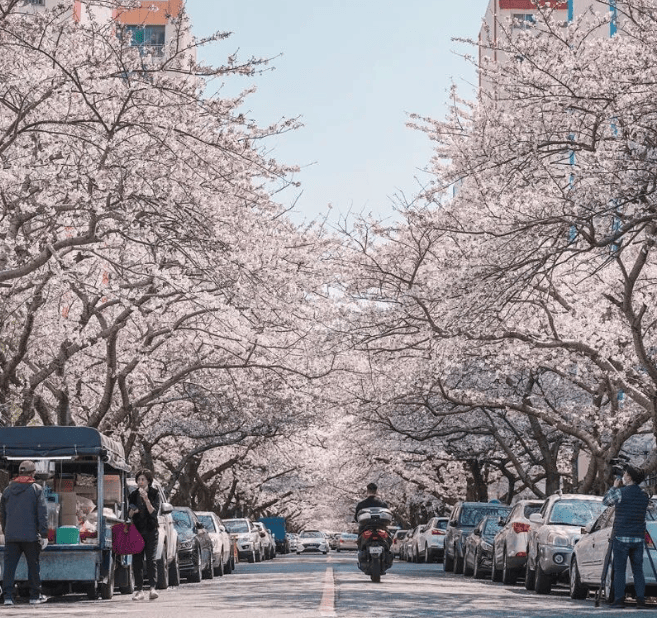 202512161405-9399297270.png image.png