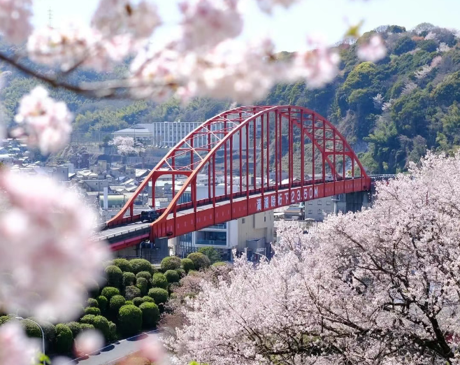 202512161406-5241421042.png image.png