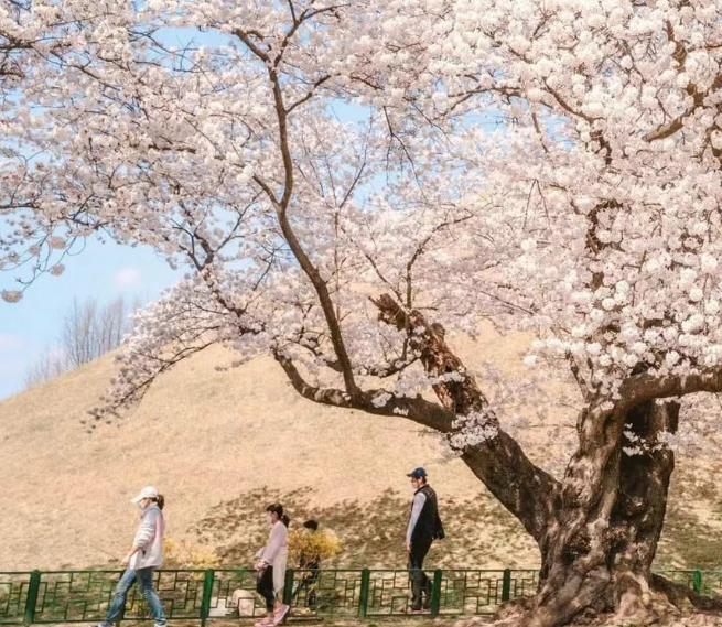 202512161406-9447621374.png image.png