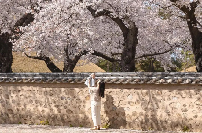 202512161407-9490781590.png image.png