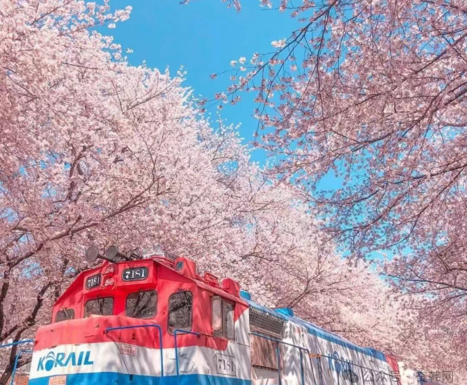 202512161412-6575556666.png image.png