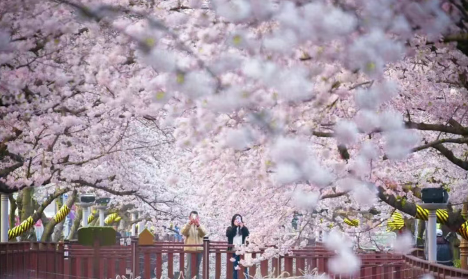 202512161412-9153304395.png image.png