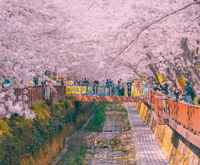 202512161413-4665290839.png image.png