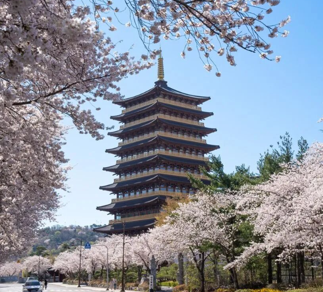 202512161413-6567278288.png image.png