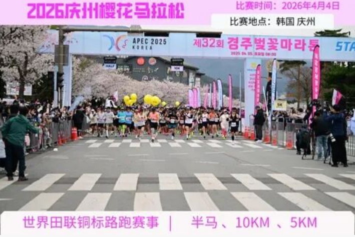 202512161514-3824869500.png image.png