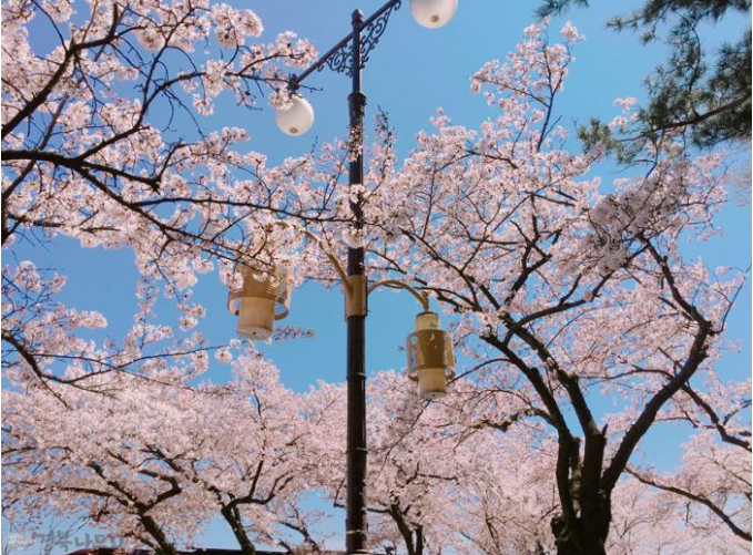 202512161518-3356008746.png image.png