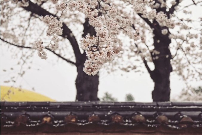 202512161518-3809351626.png image.png