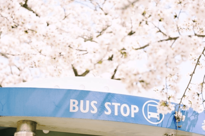 202512161518-7425543629.png image.png