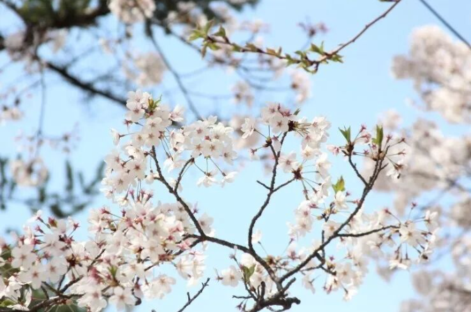 202512161519-1285201474.png image.png