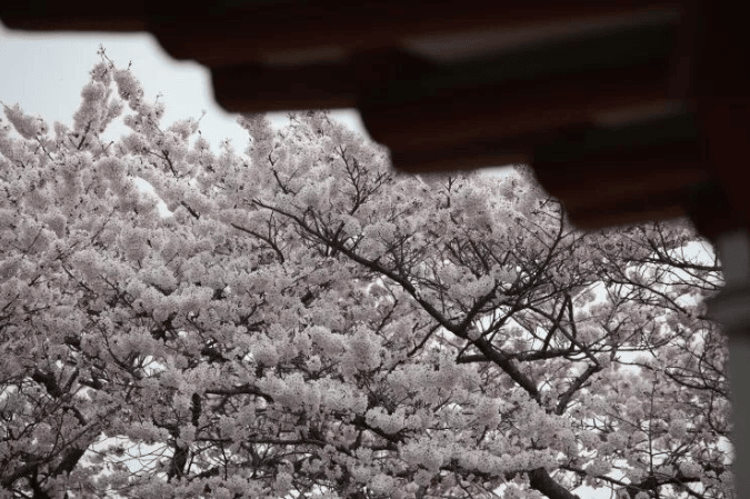 202512161519-1974145913.png image.png