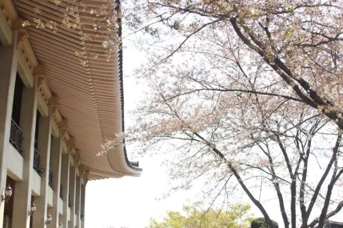 202512161519-2242107655.png image.png