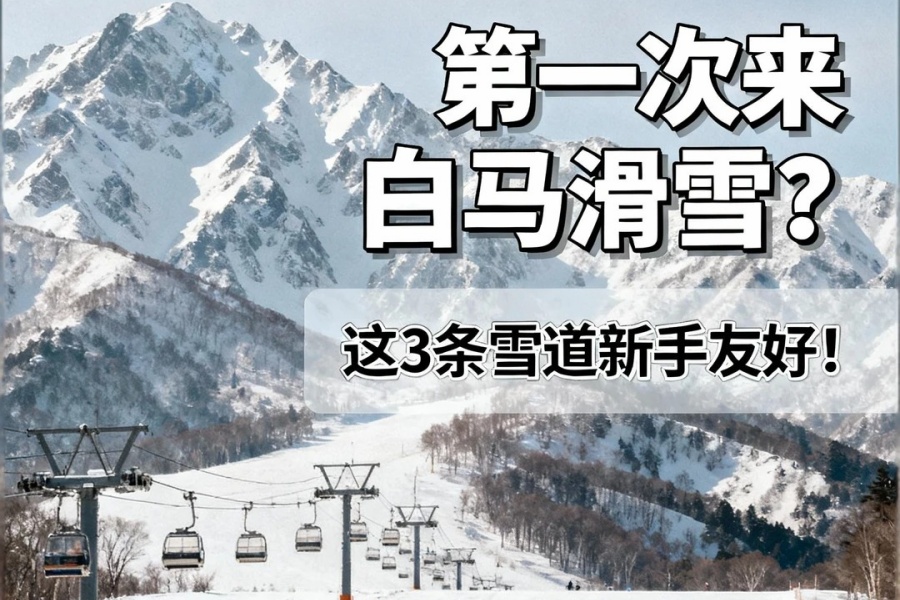 202512161725-2240732691.jpg 去白马滑雪,新手适合去哪?_1_白马滑雪度假村_来自小红书网页版.jpg