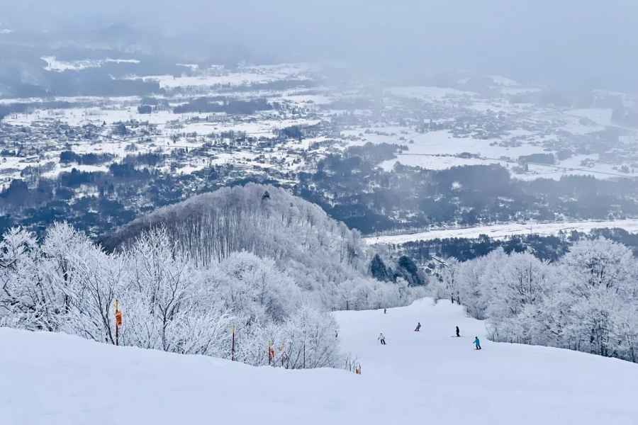 202512161746-7717348238.jpg 白马五龙47滑雪场体验_4_Summerxy_来自小红书网页版.jpg