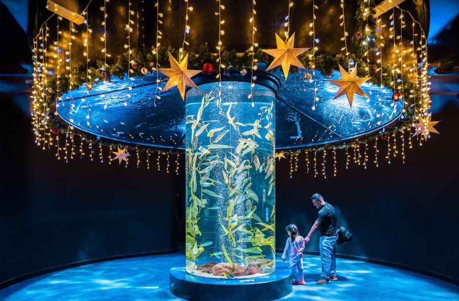 202512161813-3768341503.jpg DM_20251216180129_001.jpg