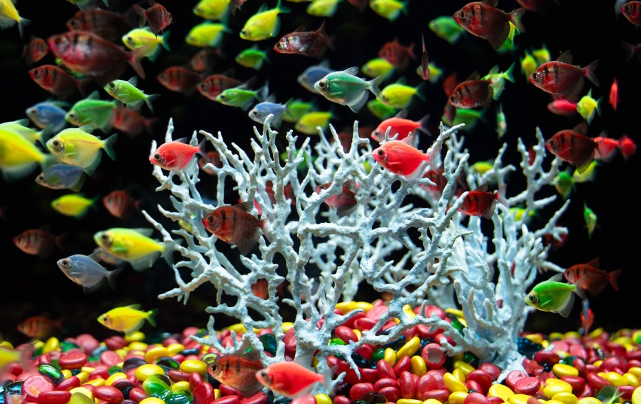 202512161813-8132100504.jpg DM_20251216180129_002.jpg