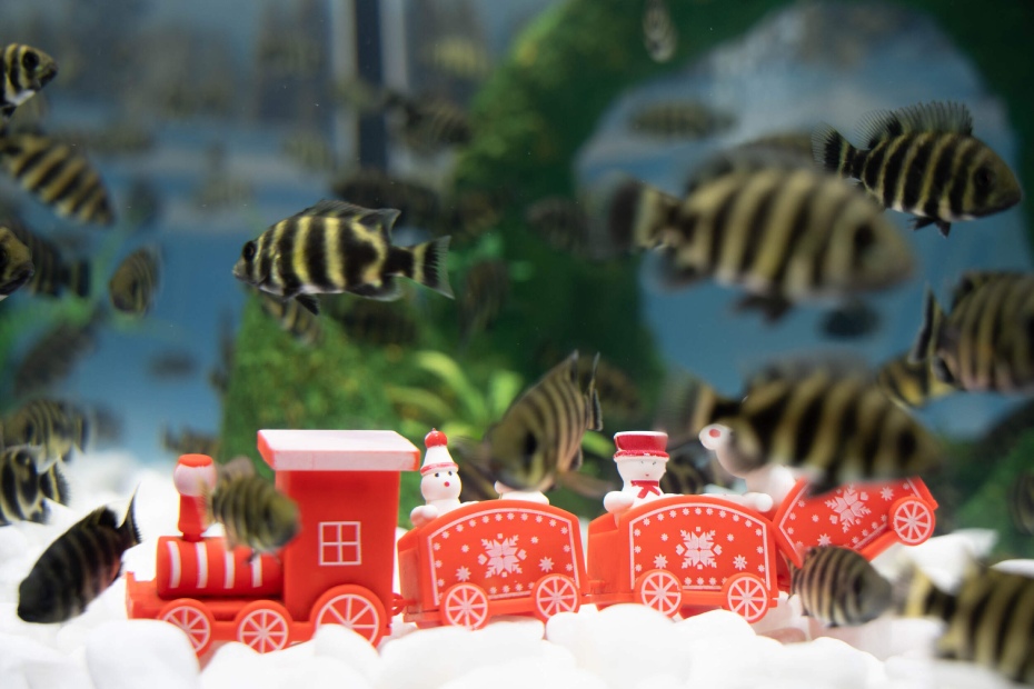 202512161813-8319858798.jpg DM_20251216180129_003.jpg