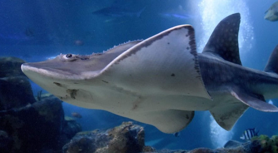 202512171044-7623863250.png image.png