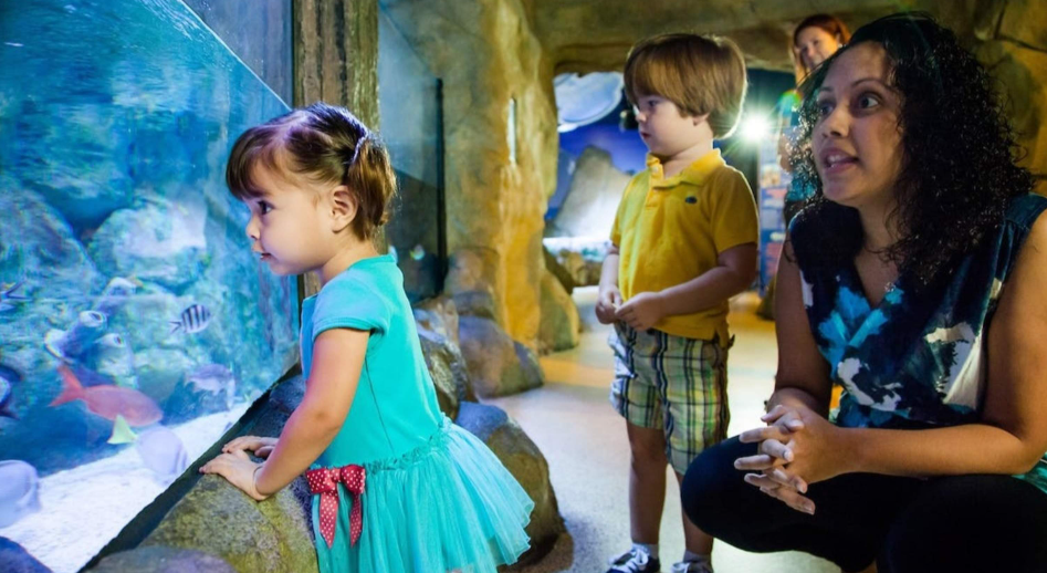 202512171044-9926152607.png image.png