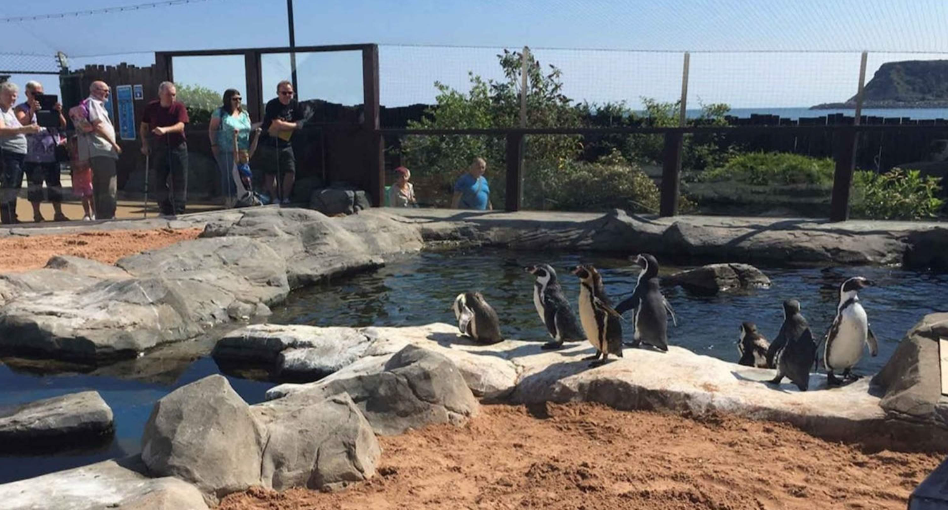 202512171045-5221067274.png image.png