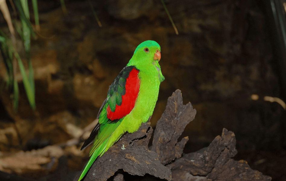 202512171150-8997622991.png image.png