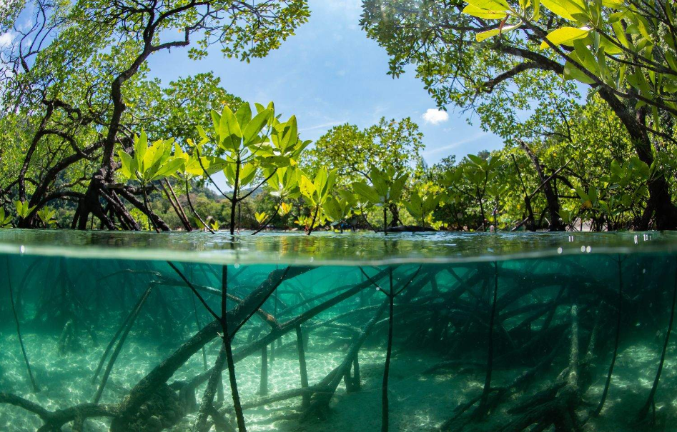 202512171151-4642443326.png image.png