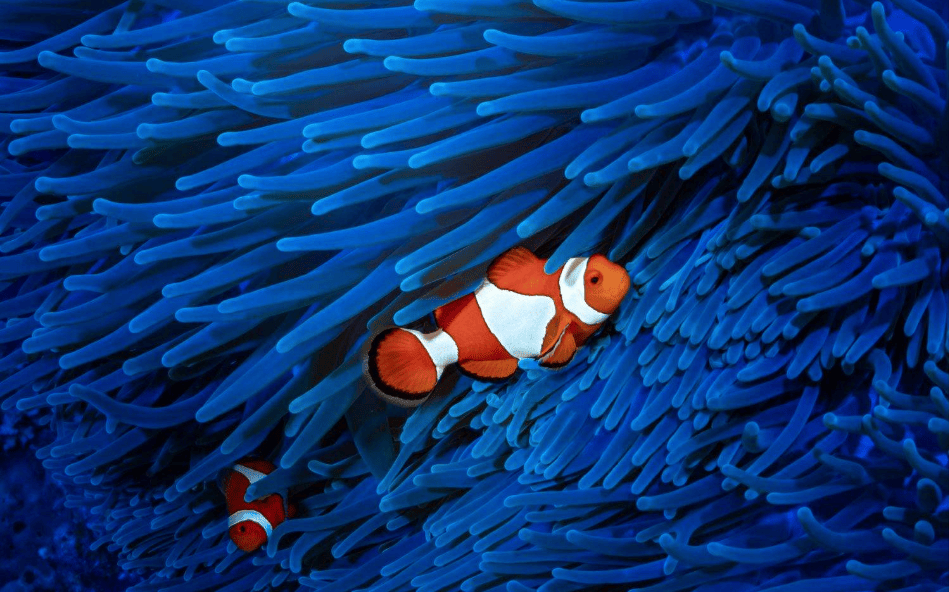 202512171153-4687992339.png image.png