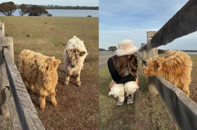 202512171333-4677229173.png image.png