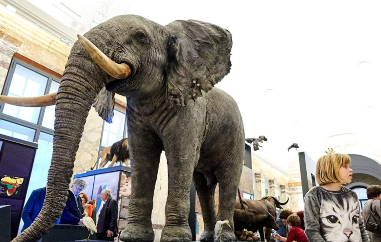 202512171339-3191980156.png image.png