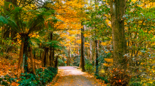 202512171347-1645188280.png image.png